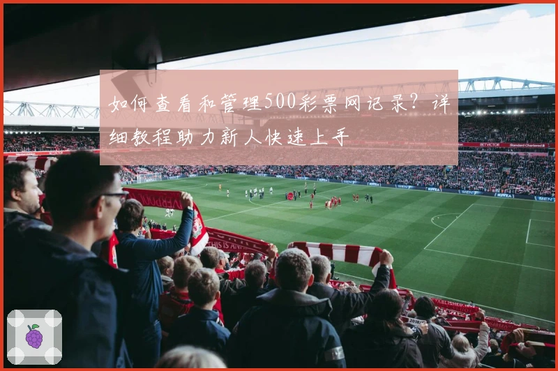 如何查看和管理500彩票网记录？详细教程助力新人快速上手