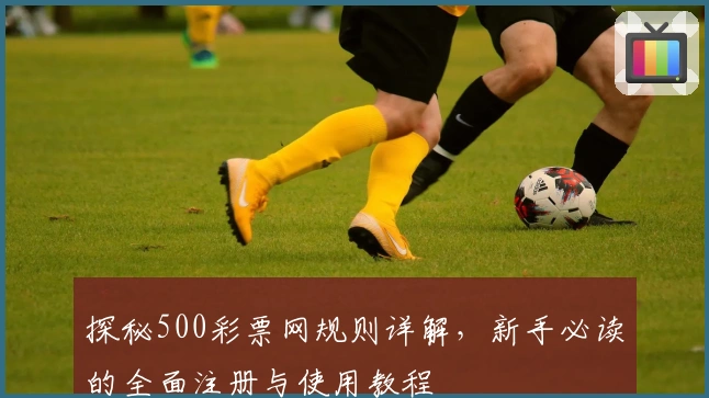 探秘500彩票网规则详解，新手必读的全面注册与使用教程