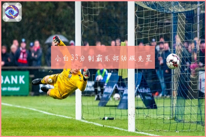 小白33分制霸东部劲旅克星