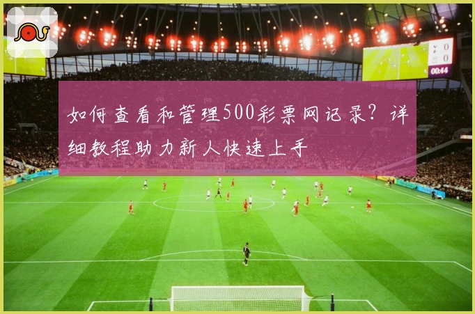 如何查看和管理500彩票网记录？详细教程助力新人快速上手