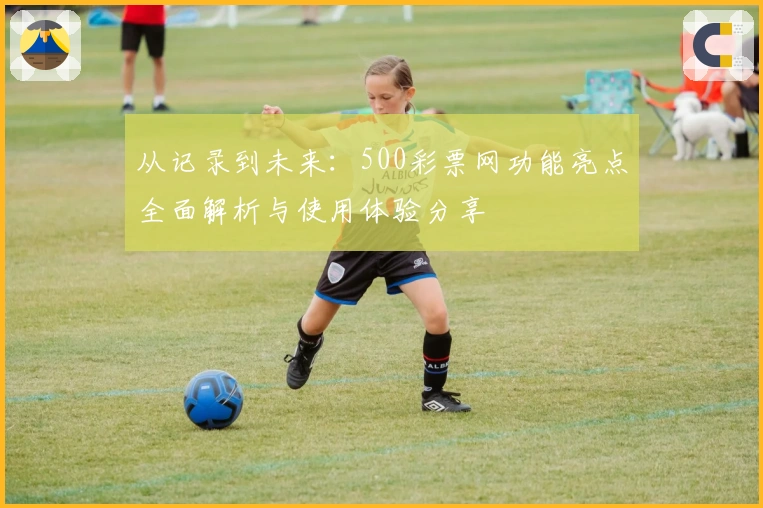 从记录到未来：500彩票网功能亮点全面解析与使用体验分享